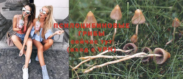 индика Абдулино